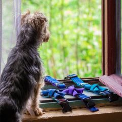 img_20231229_155854_copy_1024x1024246205422357955719