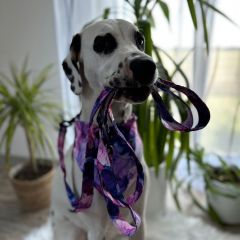 img_20231229_164628_copy_1024x10241636142946946771240