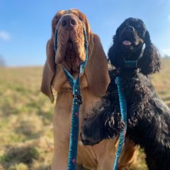 img_20240321_105450_copy_1024x10246940497887713080544