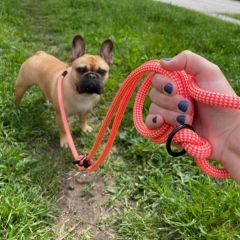 img_20240805_114123_copy_1024x10245408063836020140640