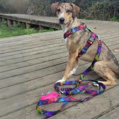 img_20251016_175632_copy_1280x12805581258392833127798