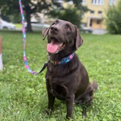 img_20251021_111915_copy_1280x12801984916278051812314