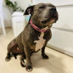 img_20251029_130314_copy_1280x1279586627682610342530