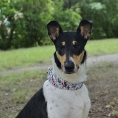 img_20251030_154202_copy_1280x12803184307257961897862