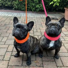 img_20251030_161430_copy_1280x12806812802679392973667