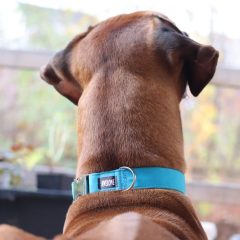 wp-1683182770013-scaled