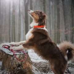 wp-1683183006685-scaled