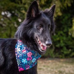 wp-1683267789904-scaled