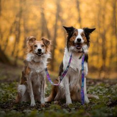 wp-1683273307315-scaled