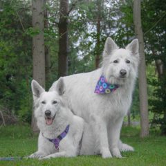 wp-1683278818676-scaled