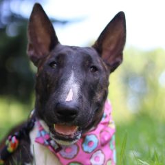 wp-1683278818819-1-scaled