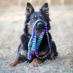 wp-1683289396652-scaled