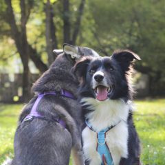 wp-1683354591662-scaled