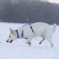 wp-1683354591702-scaled