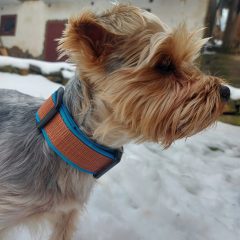 wp-1683357995134-scaled