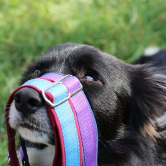 wp-1683357995229-scaled