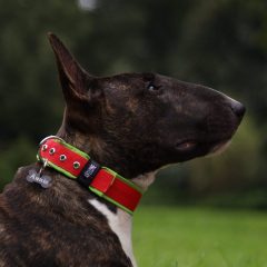 wp-1683357995305-scaled