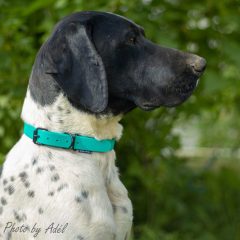 wp-1683363153993-scaled