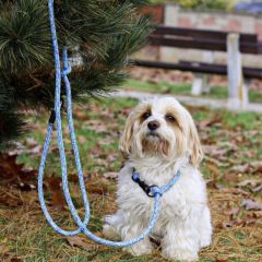 wp-17036705685993420022443475849704