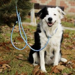 wp-1703670619319826933388757304063