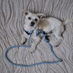 wp-17036706194418468911369083308430