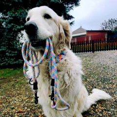 wp-17036724970561449883051619932369