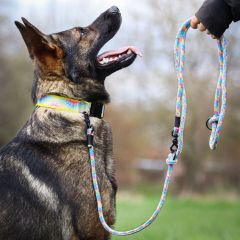 wp-17036724971071559365132645263377