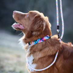 wp-17036724972507753293732871659535