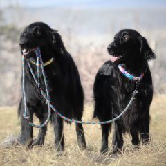 wp-17036724975215083171205588693452