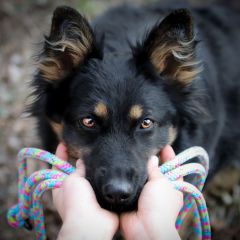 wp-17036725910917853166024673061073