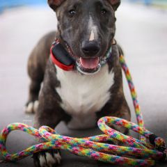 wp-1703673080810858793872195113363