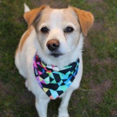 wp-1703675099867507600915339857409