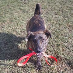 wp-17037586609374438327360458859440