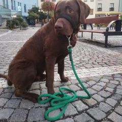 wp-17038530176074457399178679314570