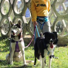 wp-17038570314094729971806002566687