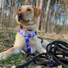 wp-17038597434971374868171341515304