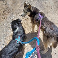 wp-17038601752686078180101668521424