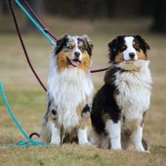 wp-17038605065045355897922276928102