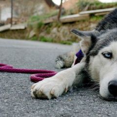 wp-17038605068221361600845992615883