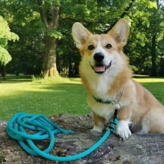 wp-17038605775415592113607213426983