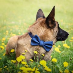 wp-17038622668484028366175286842902