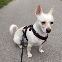 wp-17038632407448152794681699353242