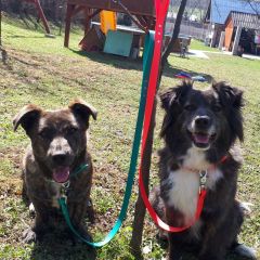 wp-17062625498045420158997014514290