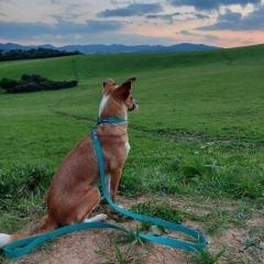 wp-17062625503884832744467741400799