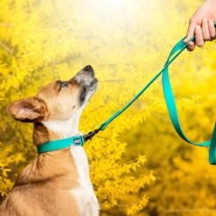 wp-17062656226197400338654719820392