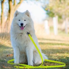 wp-17062656226981946865477183037644