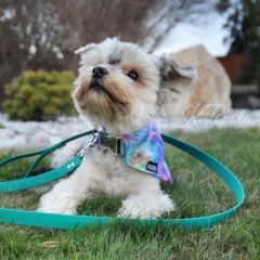 wp-17062656227406484496298353751961