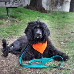 wp-17062656227828309962901762468594