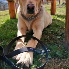 wp-17062656228407905297045008907822