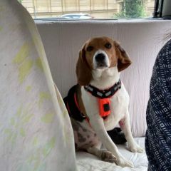 wp-17073113637152380640820825175800